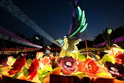 Hong Kong Debuts First Nanjing Lantern Show at Victoria Park